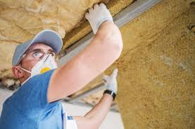 Best Wall Insulation Installation  in Dumas, TX